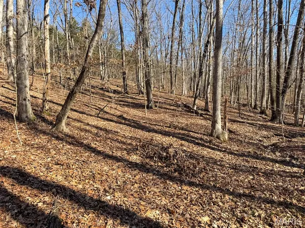 $594,500 | 0 Scanlon Drive, De Soto, MO 63020