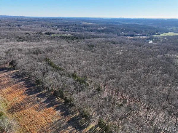 $594,500 | 0 Scanlon Drive, De Soto, MO 63020