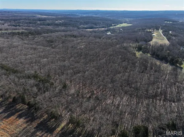$594,500 | 0 Scanlon Drive, De Soto, MO 63020