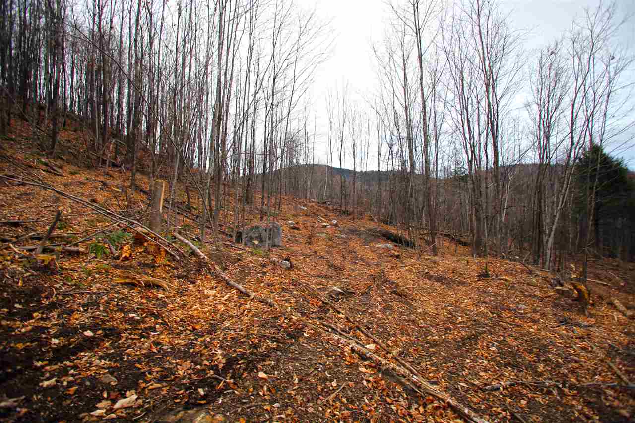 2050 Stone Road Ryegate, VT 05042 - Photo 4 of 40