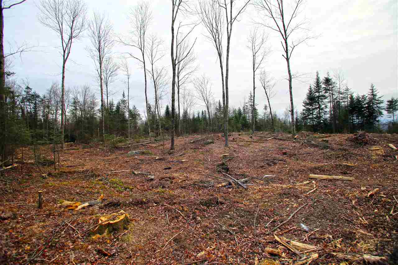 2050 Stone Road Ryegate, VT 05042 - Photo 8 of 40