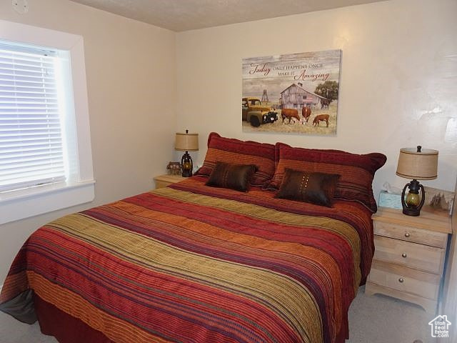 4040 Dingle Road Dingle, ID 83233 - Photo 11 of 47