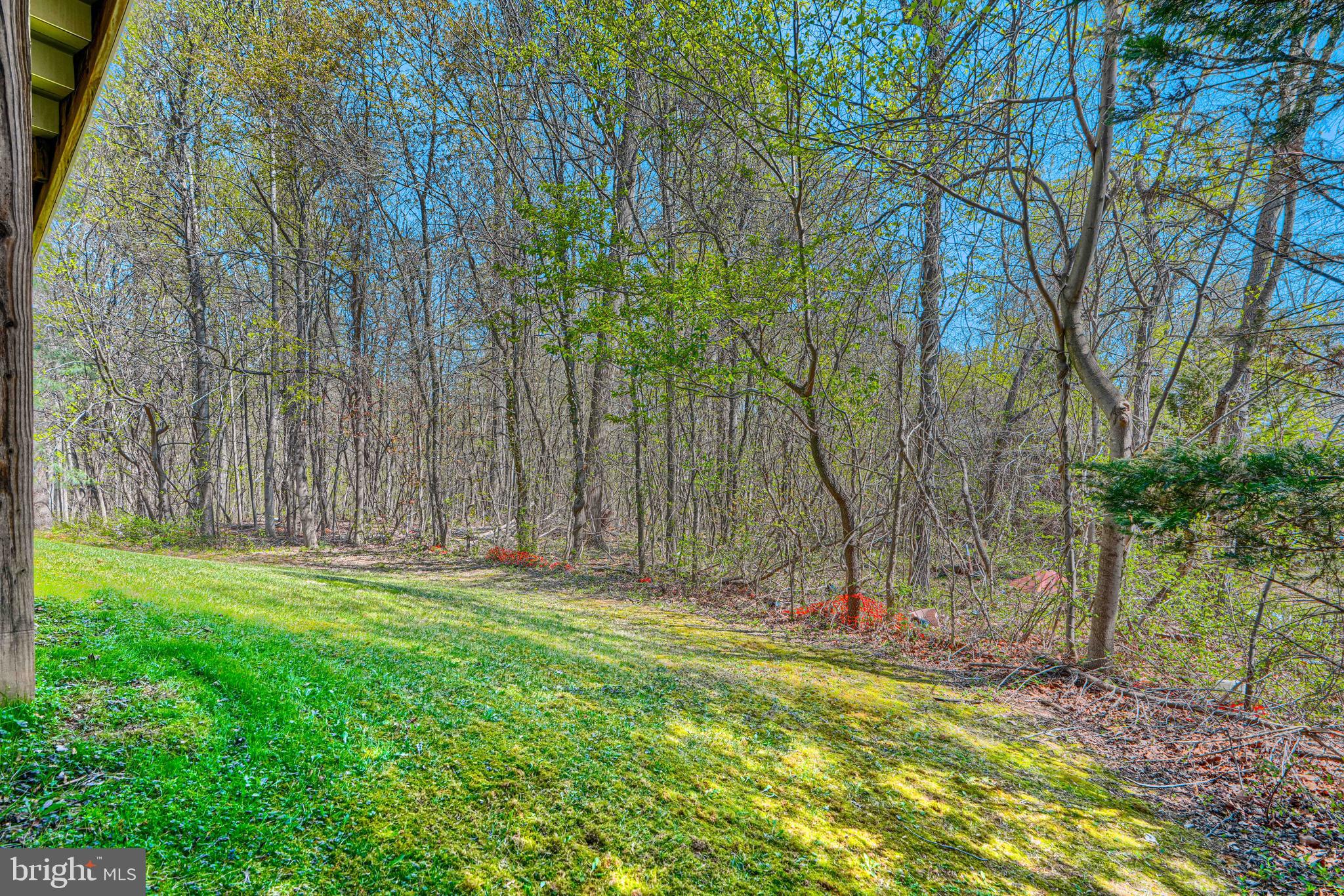 8934 Ricky Trevor Road Perry Hall, MD 21128 - Photo 58 of 69