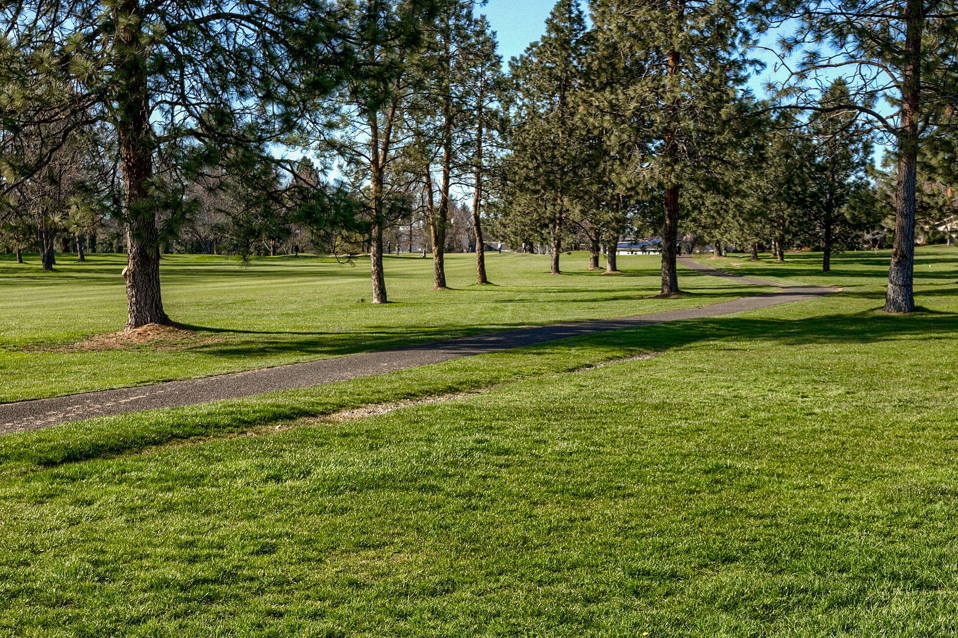 40 South Foothill Road Medford, OR 97504 - Photo 45 of 73 23-web-or-mls-ApxSF (23)