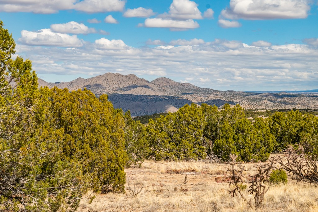 Tbd Hanuman Road Cerrillos, NM 87010 - Photo 3 of 33
