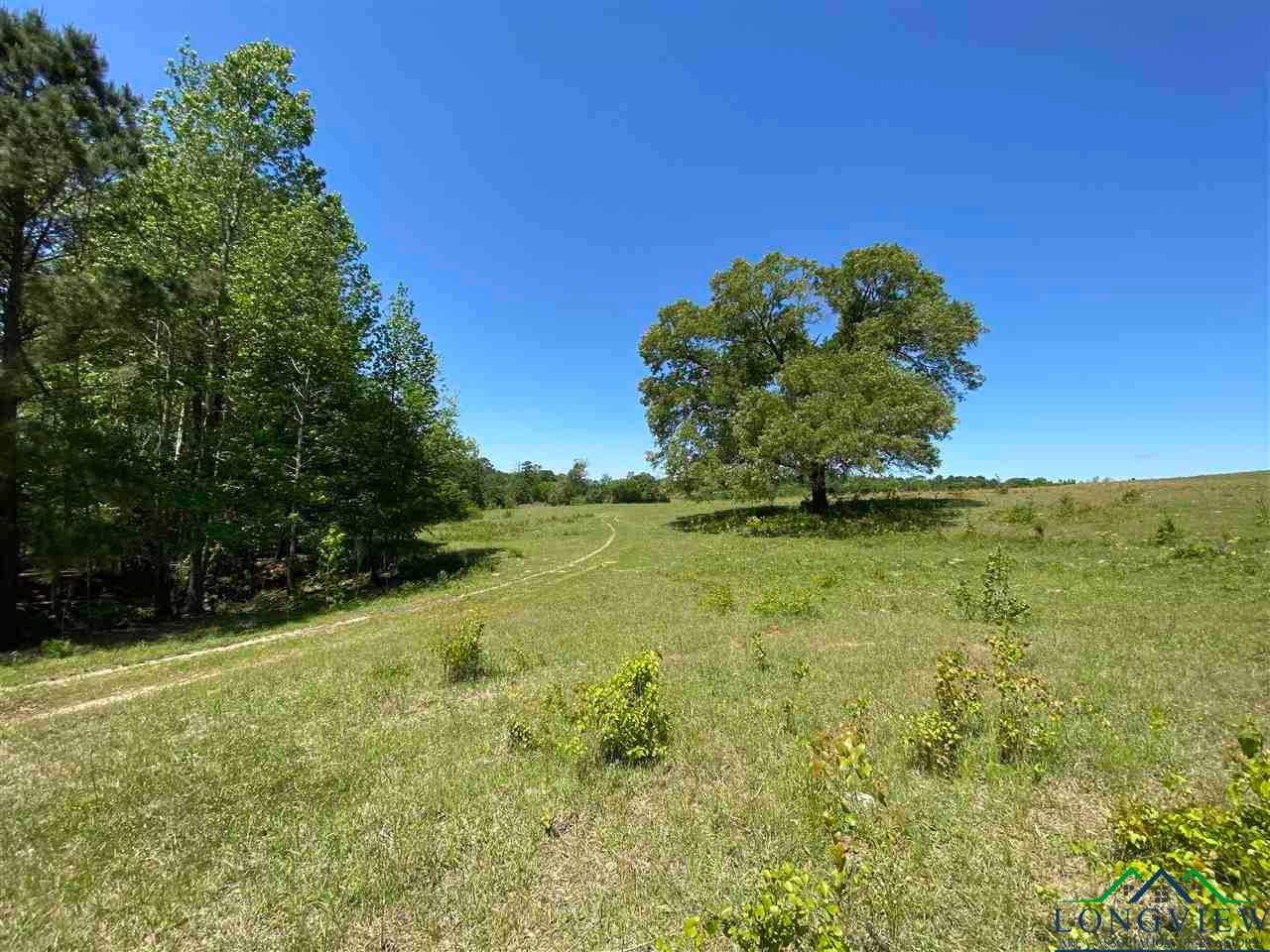 Tbd Orchid Road Ore City, TX 75683 - Photo 25 of 36 Gallery Image 25