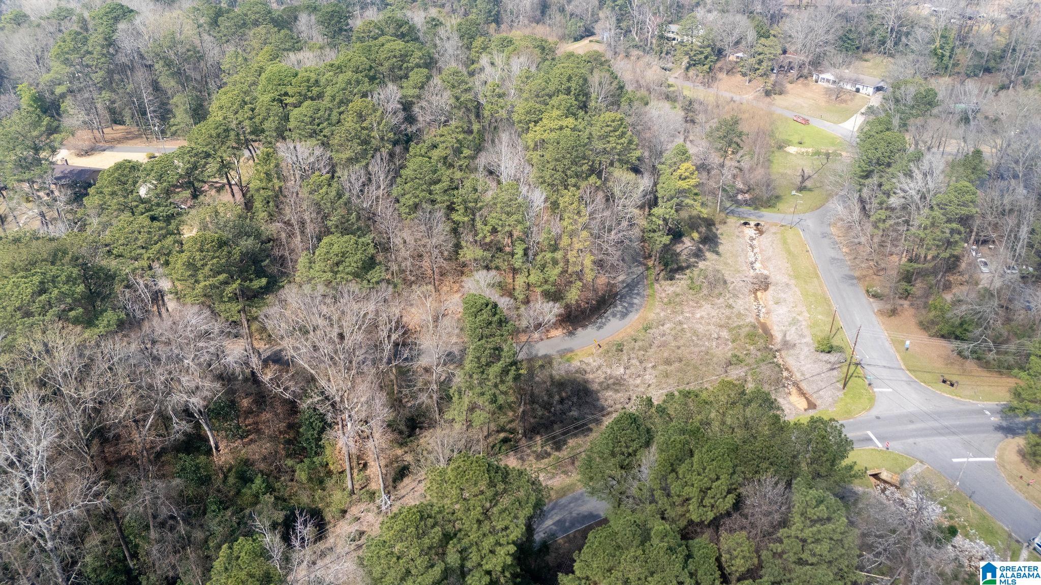 0 Woodland Road, Unit 1 Tuscaloosa, AL 35405 - Photo 14 of 16
