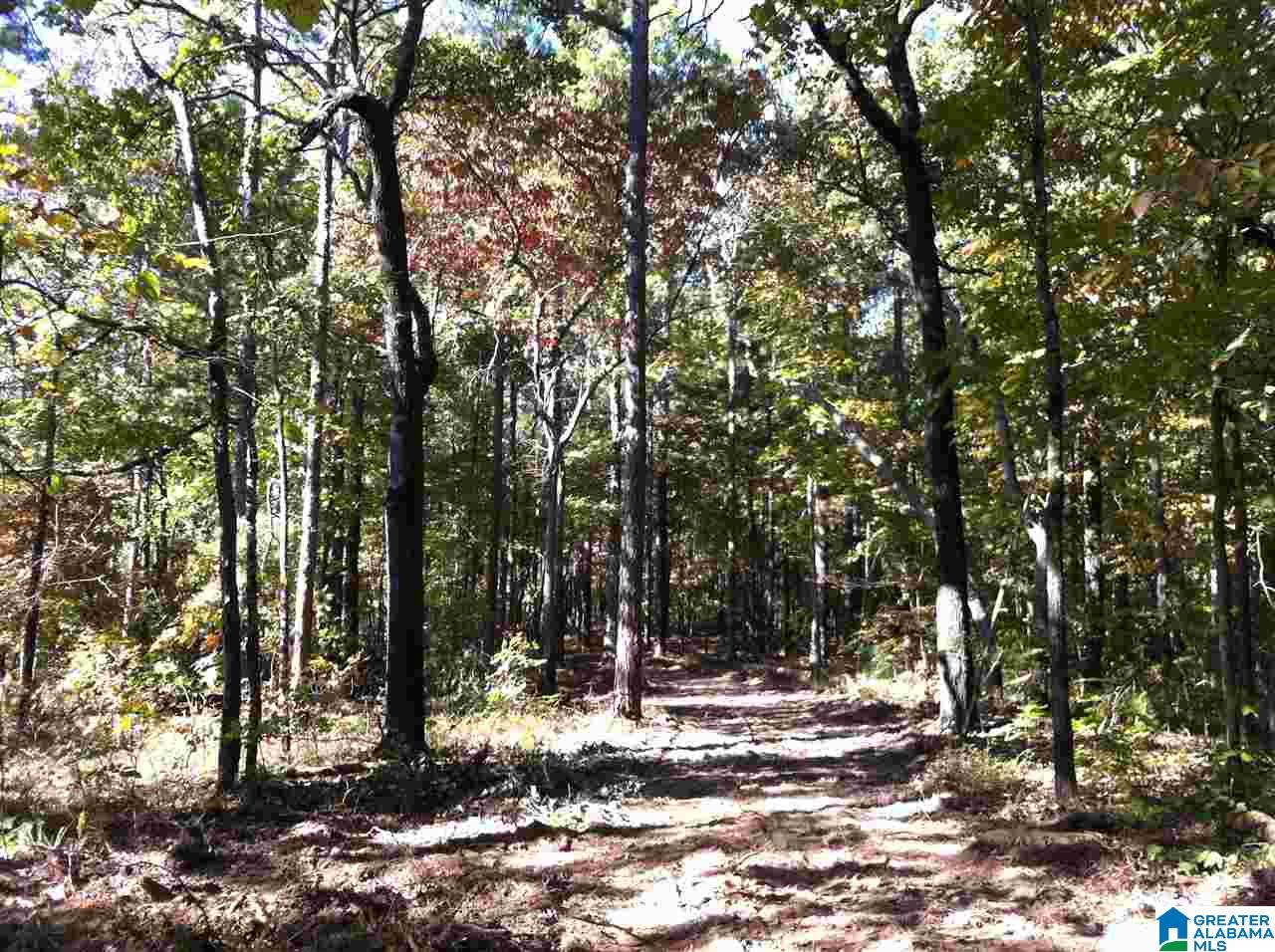 5603 Risers Mill Road, Unit 1 Alpine, AL 35014 - Photo 4 of 11