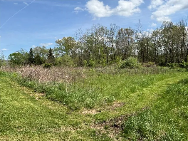 a view of a yard with a tree