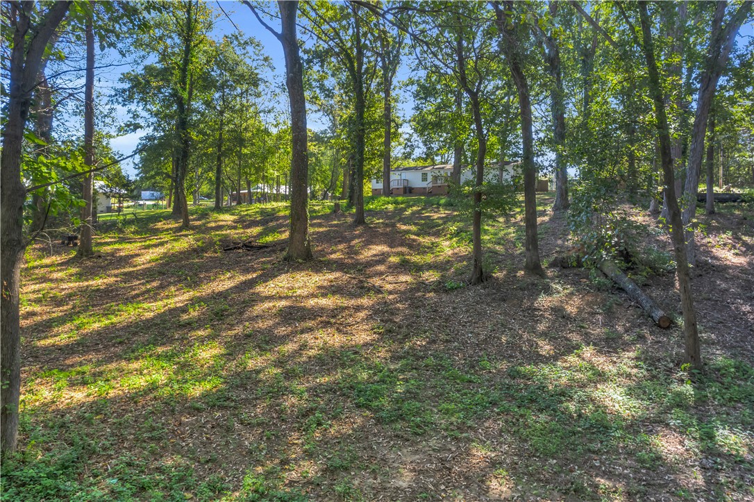 133 Cedar Rock Church Road Easley, SC 29640 - Photo 24 of 30