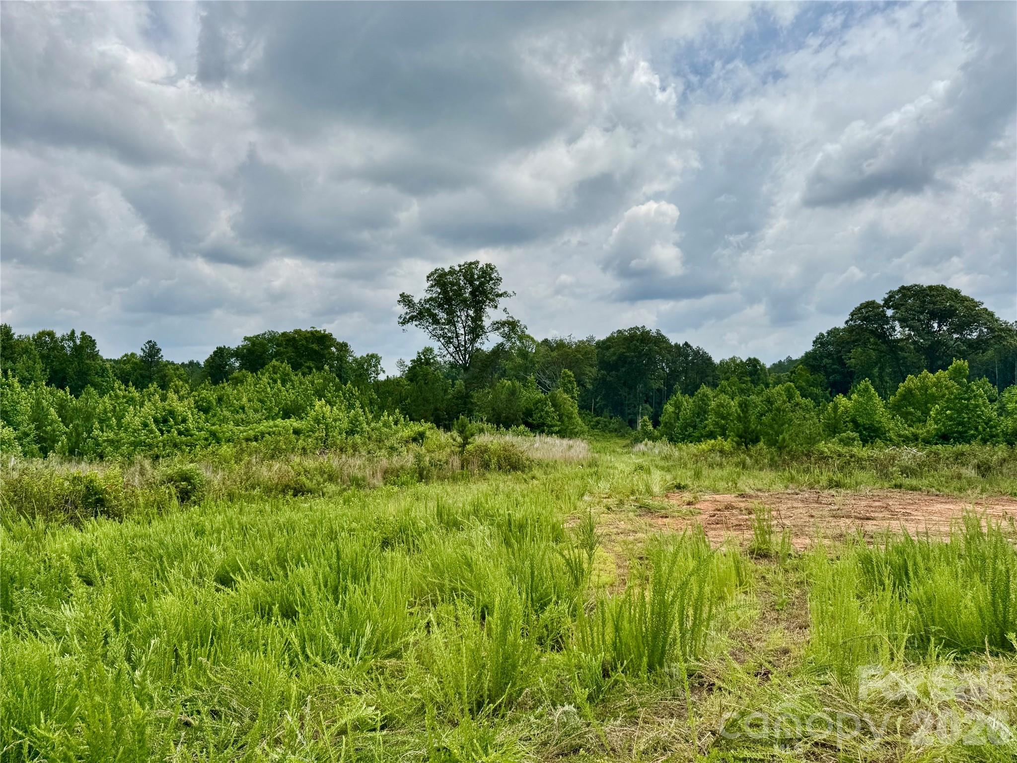 0 Butler Mill Road Harmony, NC 28634 - Photo 13 of 20