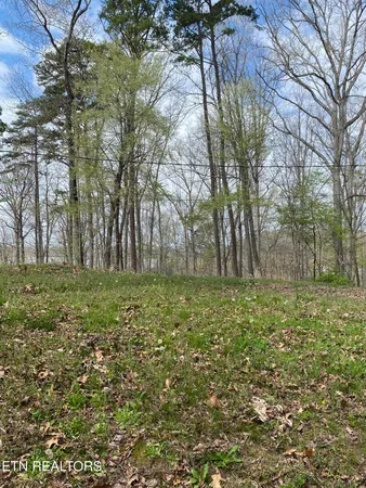 $19,900 | Lot 612 Cottage Lane, Dandridge, TN 37725