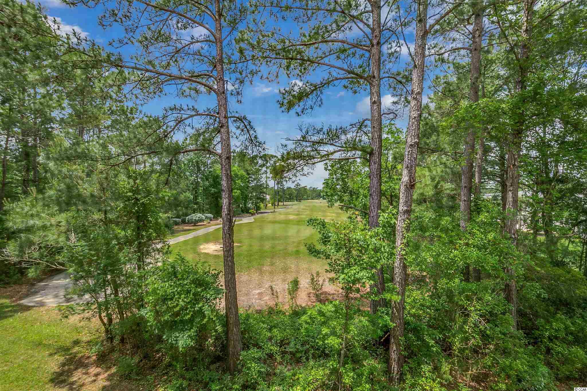 730 Pickering Drive, Unit 203 Murrells Inlet, SC 29576 - Photo 24 of 34 Gallery Image 24