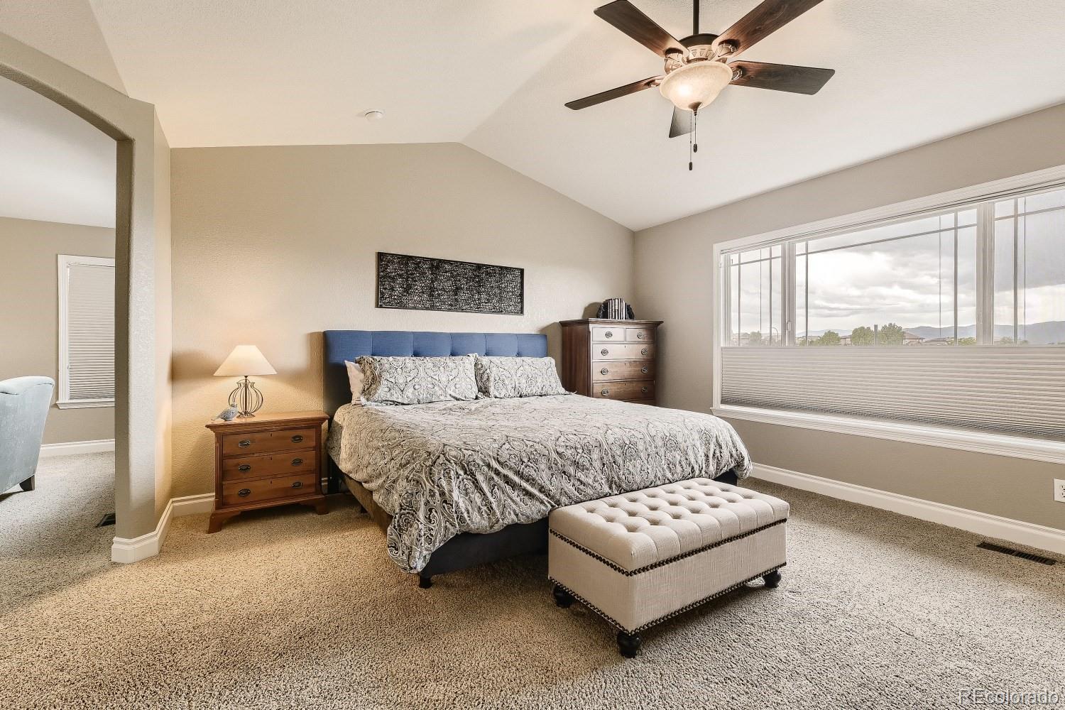 724 Ridgemont Circle Highlands Ranch, CO 80126 - Photo 17 of 40 Gallery Image 17