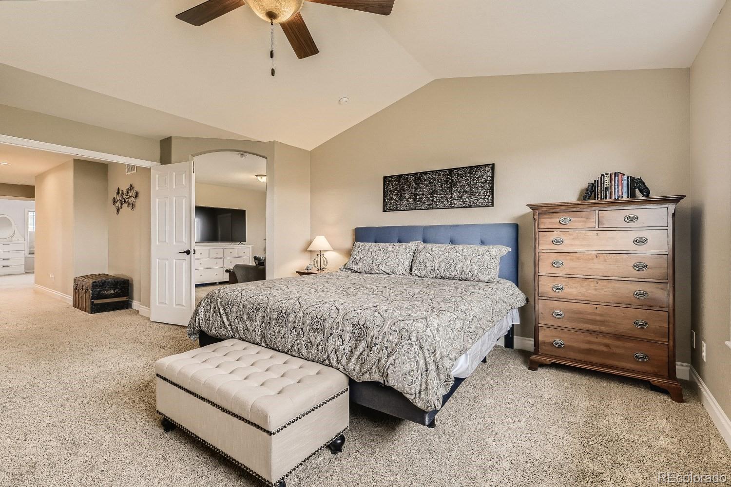 724 Ridgemont Circle Highlands Ranch, CO 80126 - Photo 18 of 40 Gallery Image 18