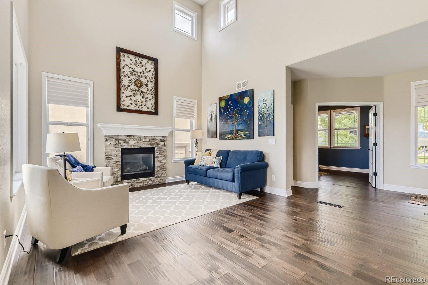 724 Ridgemont Circle Highlands Ranch, CO 80126 - Photo 4 of 40 Gallery Image 4