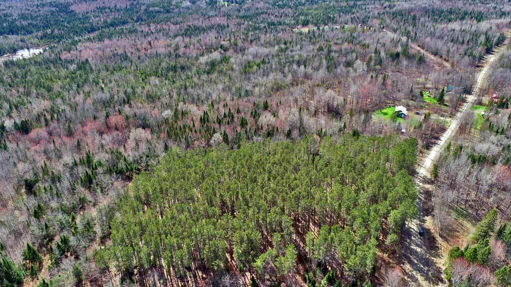 276 White Road Ludlow, ME 04730 - Photo 13 of 15 maine-land-for-sale-drone