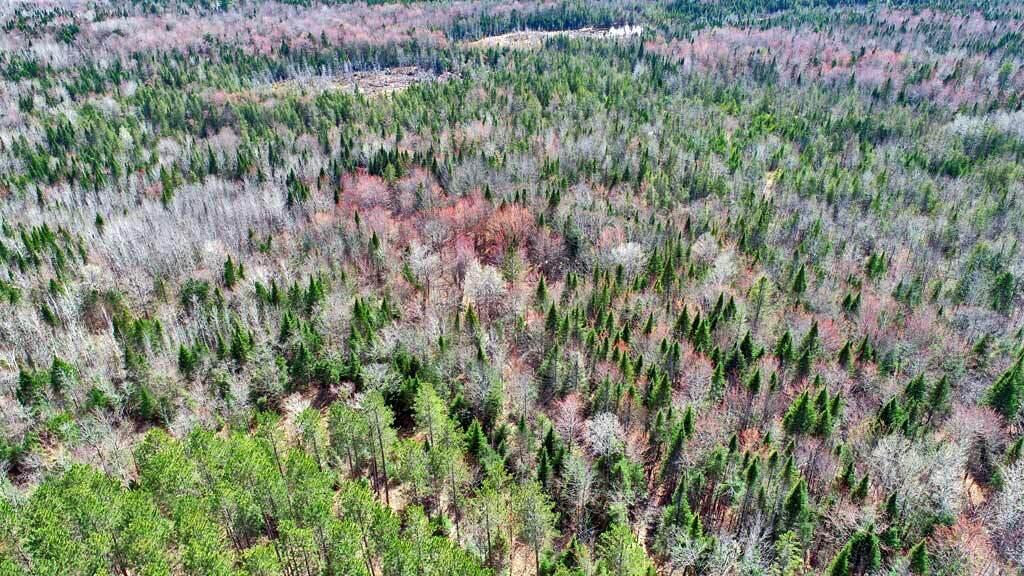 276 White Road Ludlow, ME 04730 - Photo 14 of 15 land-maine-ludlow-aerial