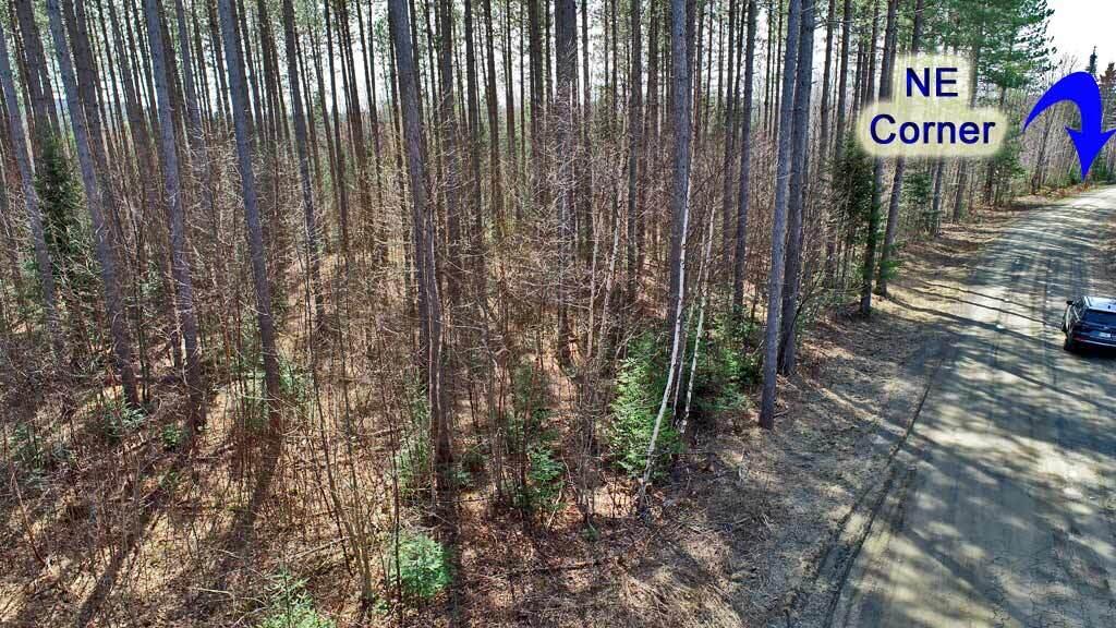 276 White Road Ludlow, ME 04730 - Photo 2 of 15 maine-land-cabin-aerial