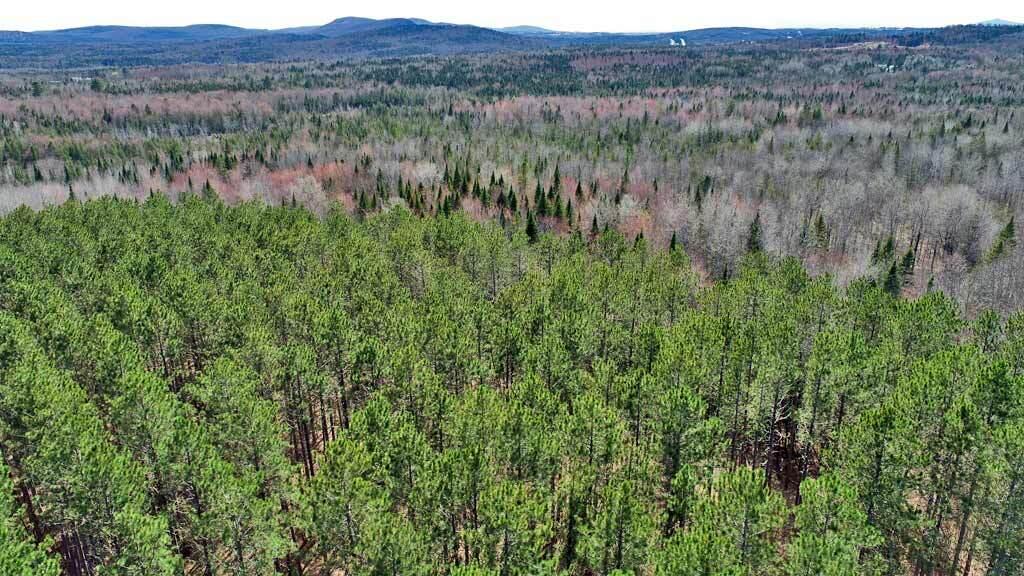 276 White Road Ludlow, ME 04730 - Photo 4 of 15 maine-land-ludlow-aroostook