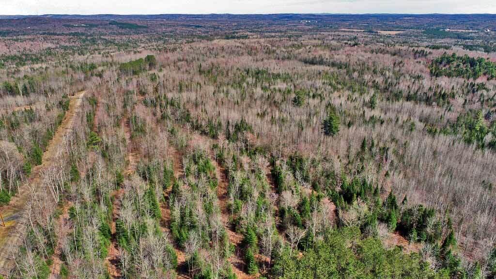 276 White Road Ludlow, ME 04730 - Photo 5 of 15 land-for-sale-me-cabin