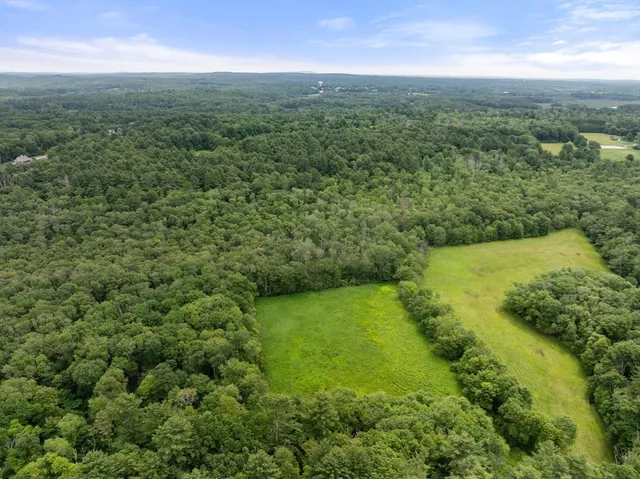 a view of a green field with lots of trees