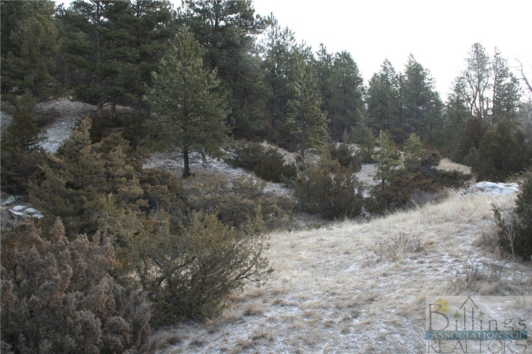 Lot 20 Night Hawk Road Reed Point, MT 59069 - Photo 1 of 1 Gallery Image 1