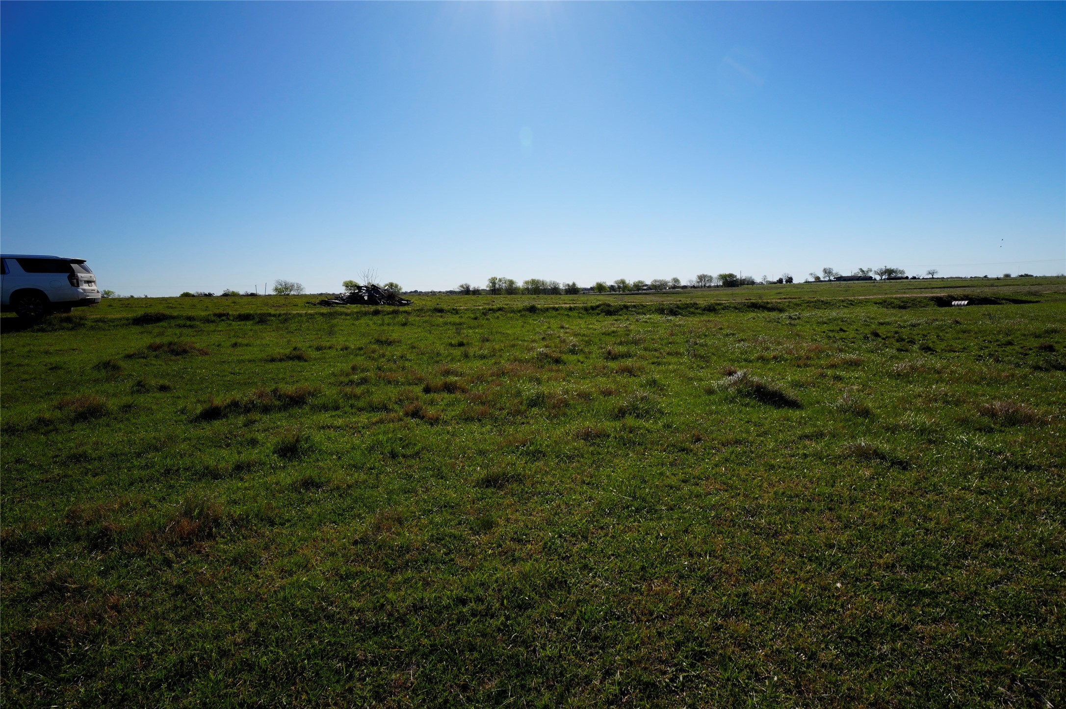 4 Falke-Heinrich Road Schulenburg, TX 78956 - Photo 6 of 16 a view of a green field with lots of bushes