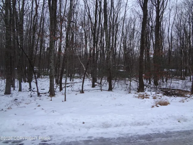 a view of outdoor space with trees