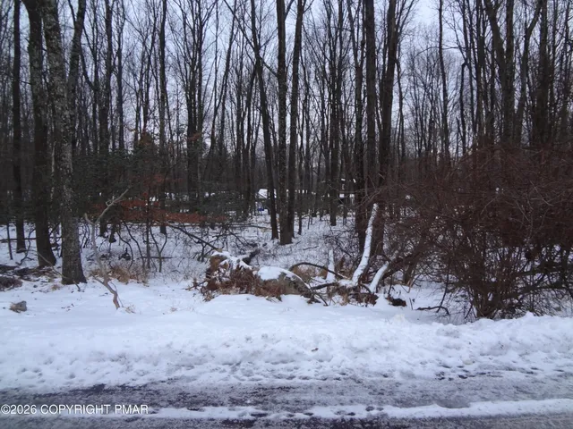 a view of outdoor space with deck and trees