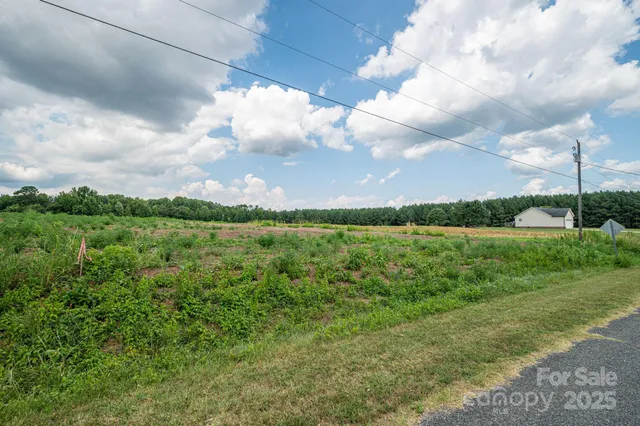 a view of a garden with a lake
