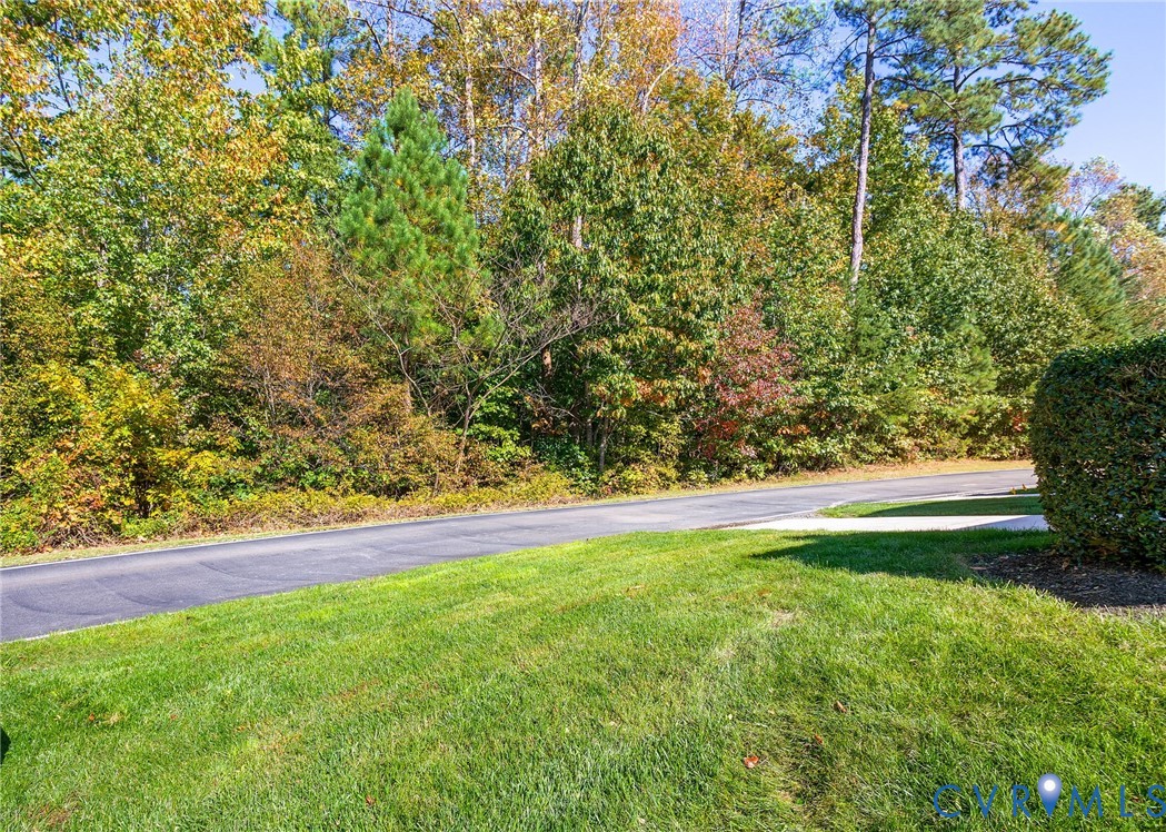 13532 Baycraft Terrace Midlothian, VA 23112 - Photo 27 of 28 a view of yard with green space