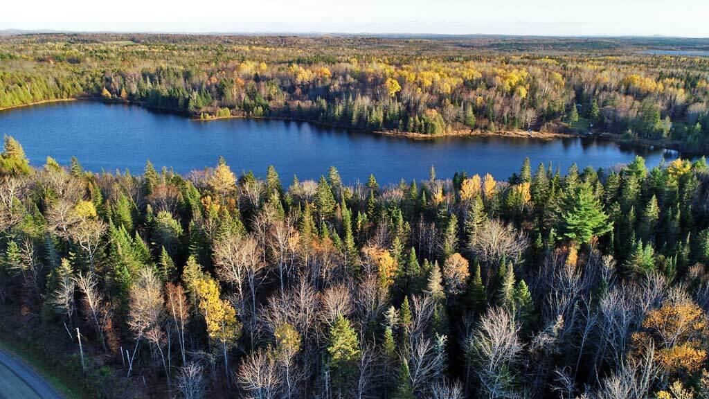 Lot 18 South Oakfield Road Houlton, ME 04730 - Photo 22 of 32 maine-waterfront-land