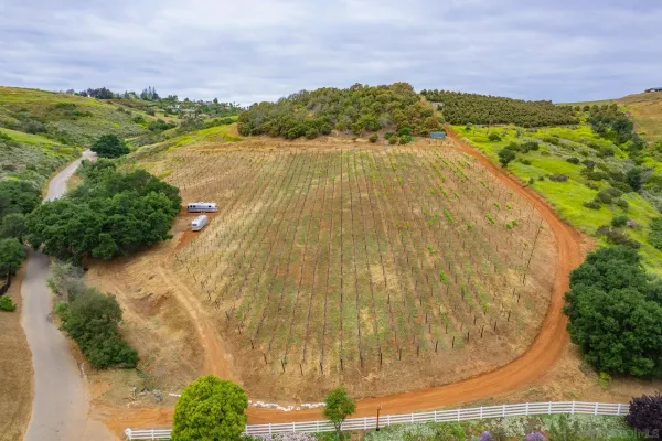 $3,300,000 | 5320 Olive Hill Trail, Bonsall, CA 92003