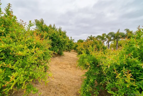 $3,300,000 | 5320 Olive Hill Trail, Bonsall, CA 92003