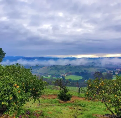 $3,300,000 | 5320 Olive Hill Trail, Bonsall, CA 92003