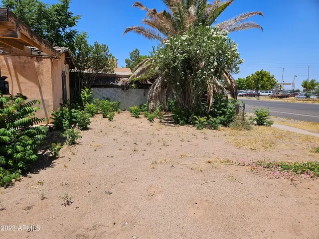 a beach with a tree in front of it