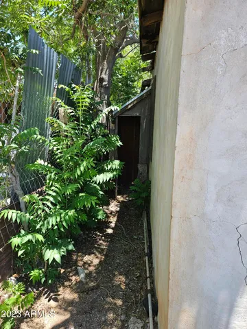 a view of a plant in a garden