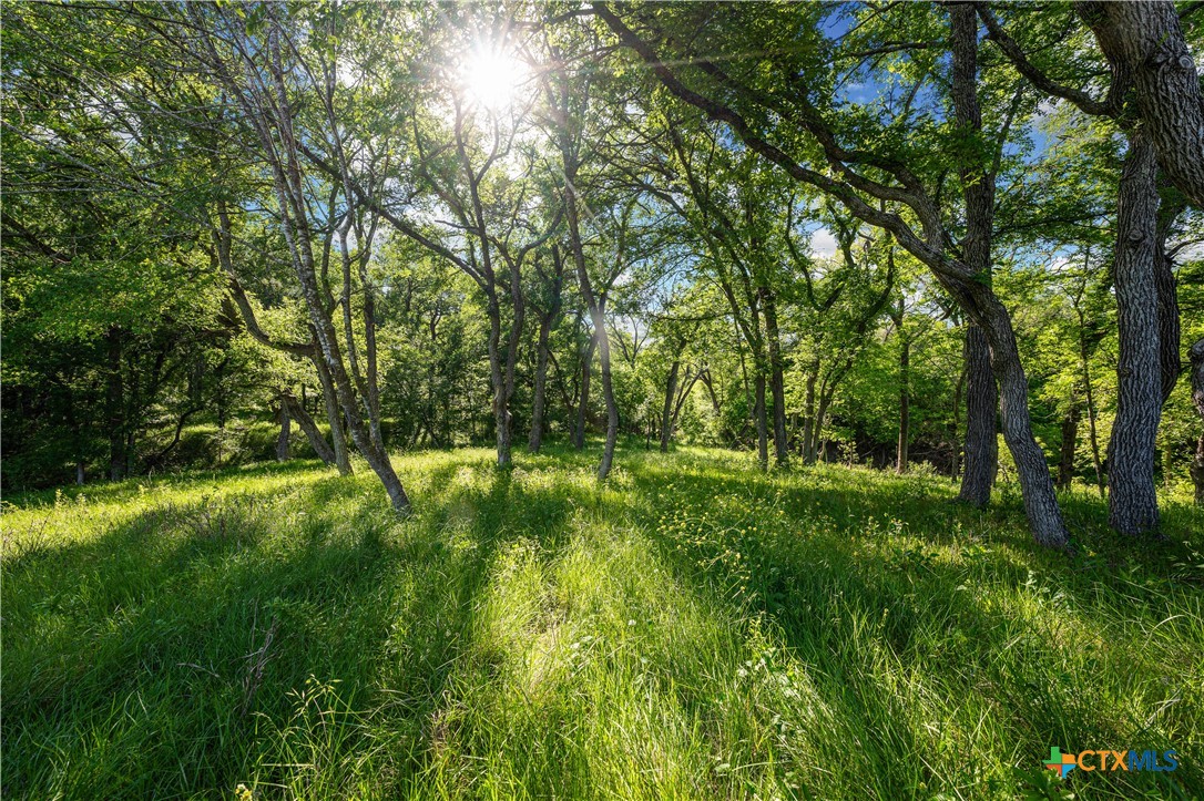 4158 Creek Road Temple, TX 76501 - Photo 40 of 47