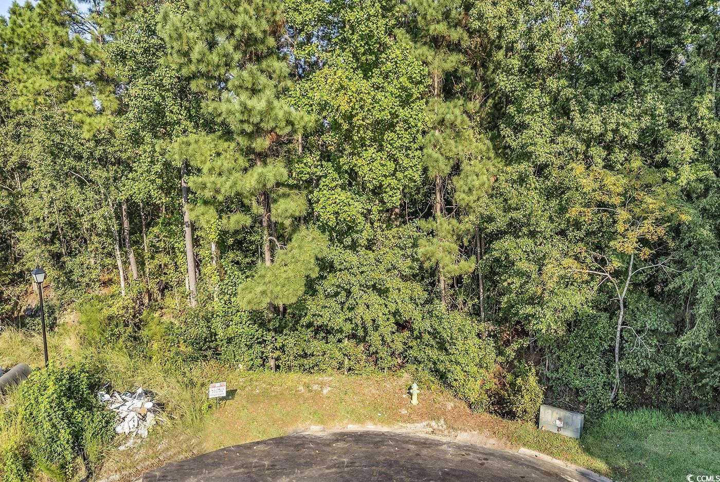 425 Pilothouse Drive Myrtle Beach, SC 29577 - Photo 3 of 19