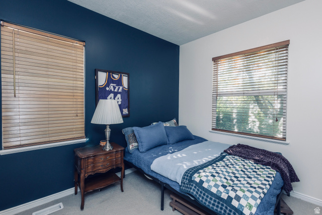 11751 Lake Run Road South Jordan, UT 84009 - Photo 28 of 38 Bedroom featuring two windows with wood-finish blinds, a textured ceiling, and carpet flooring