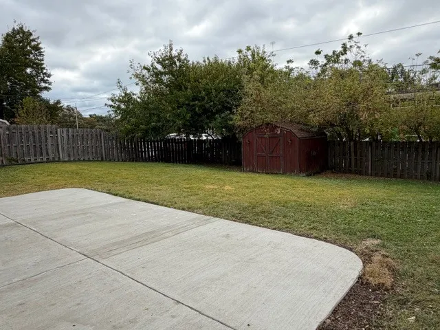 a view of a backyard with trees