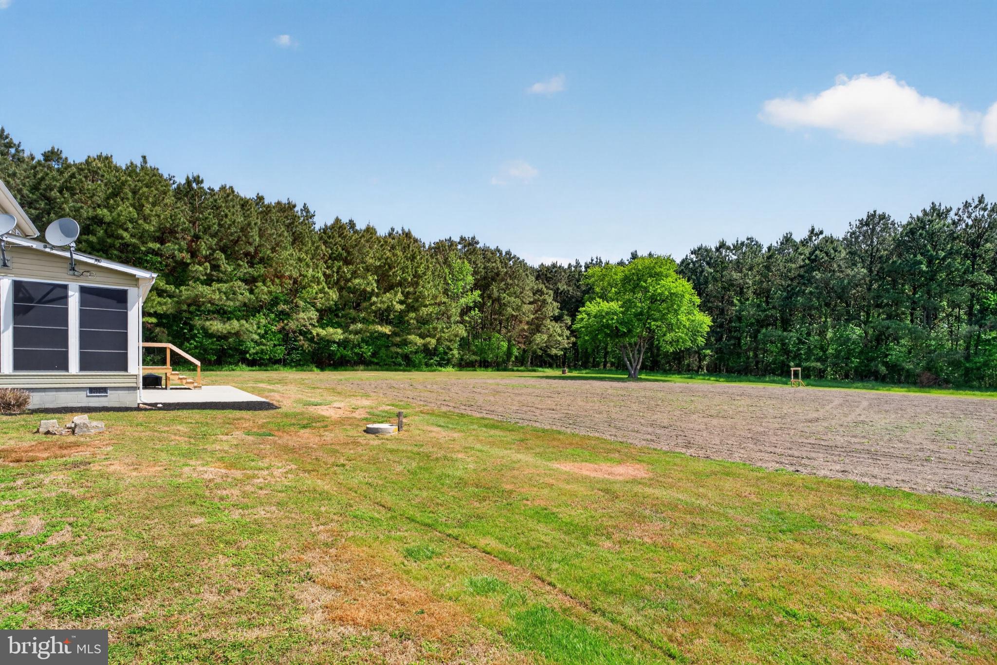 2435 Payne Road Pocomoke City, MD 21851 - Photo 70 of 75 Serene landscape with lush greenery.