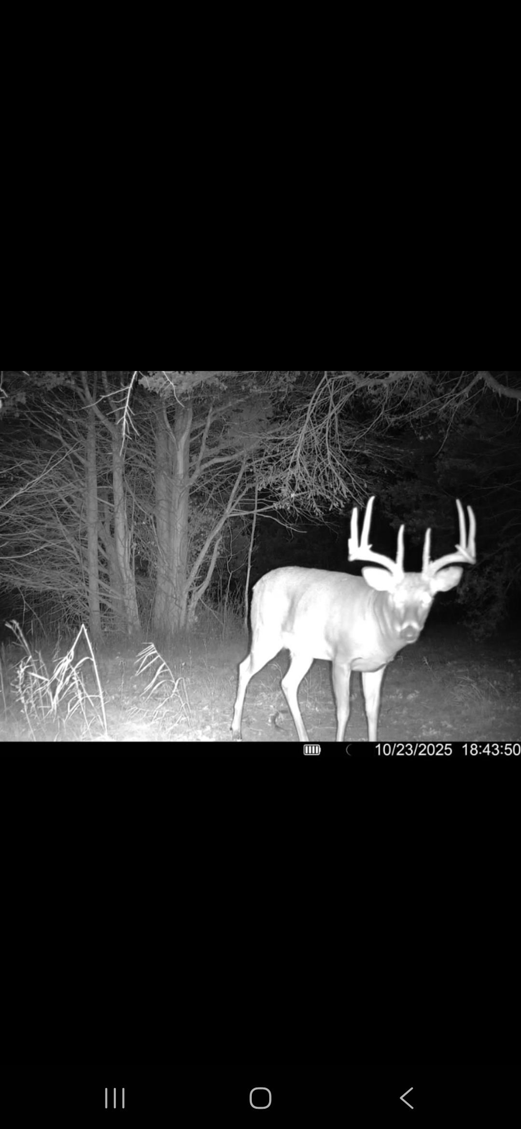 0 County Road J Princeton, WI 54968 - Photo 2 of 12