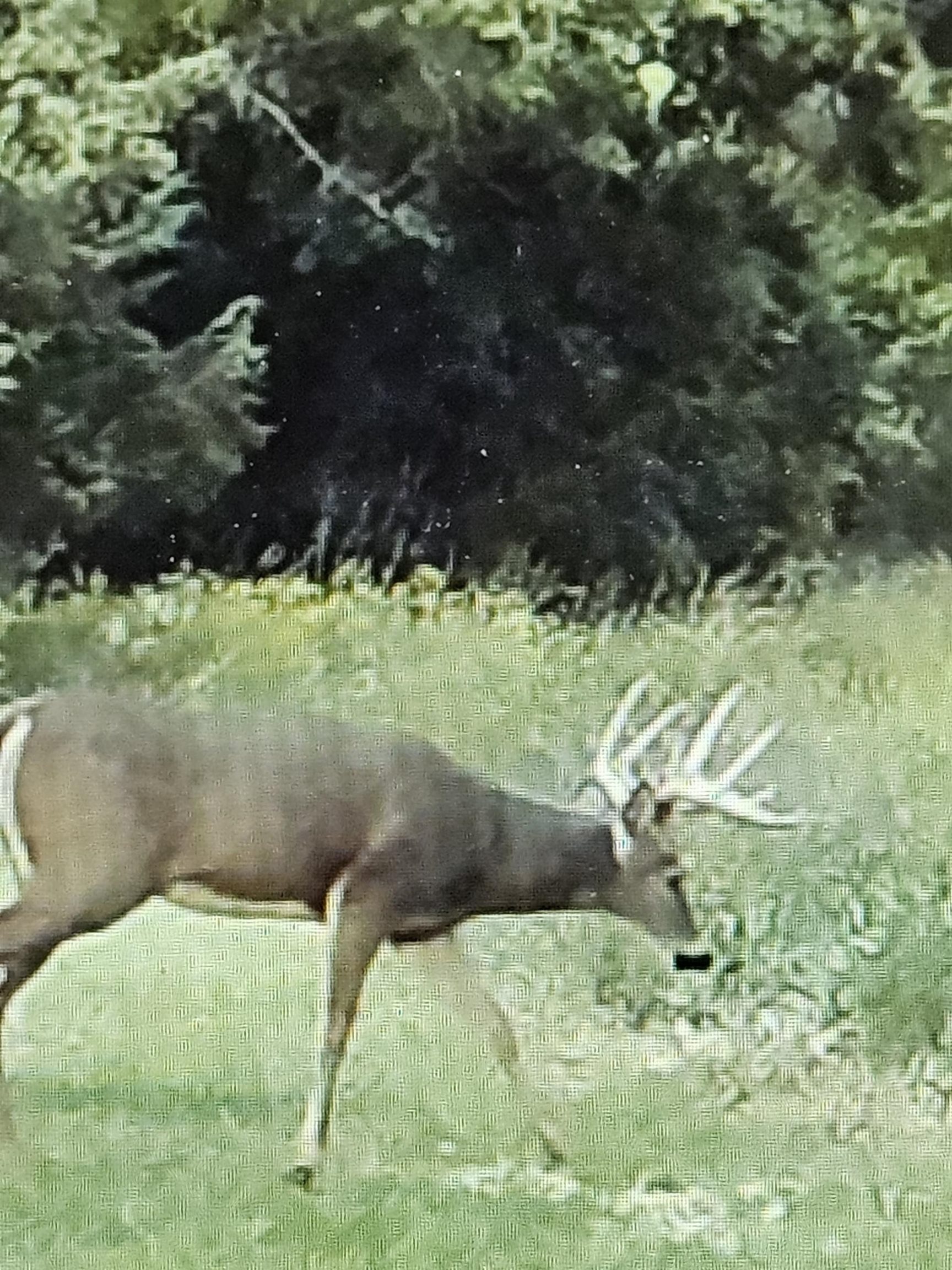 0 County Road J Princeton, WI 54968 - Photo 3 of 12