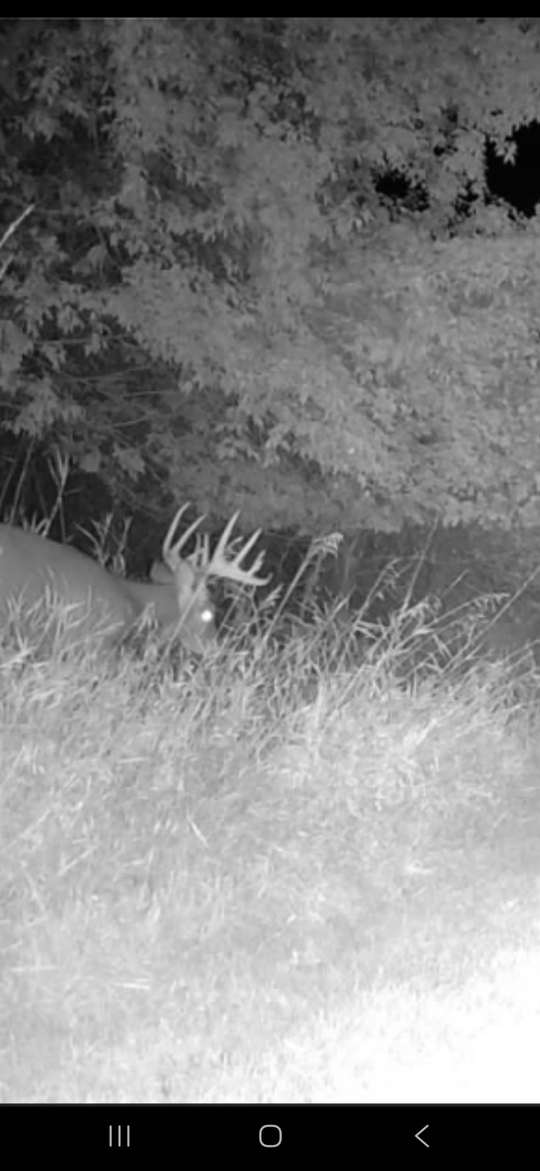 0 County Road J Princeton, WI 54968 - Photo 4 of 12