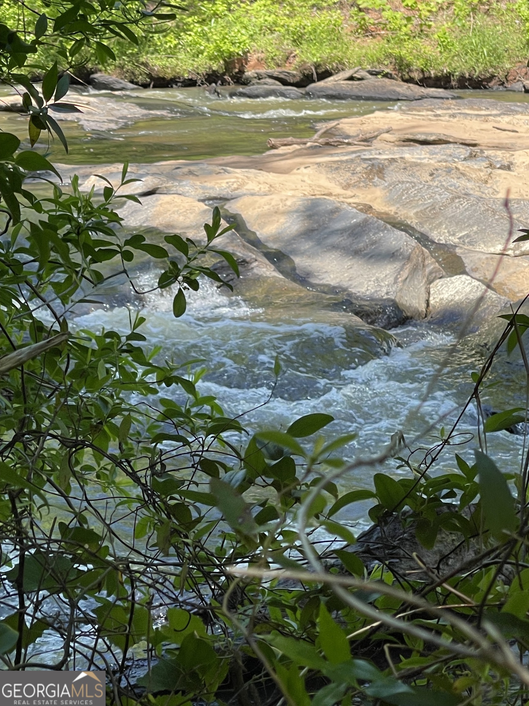 106 Forest Place Forsyth, GA 31029 - Photo 2 of 10 a backyard of a house with a lake view