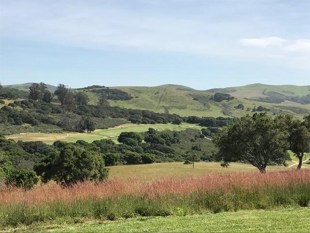 2191 Tularosa Road Lompoc, CA 93436 - Photo 23 of 29 an aerial view of residential houses with outdoor space and trees