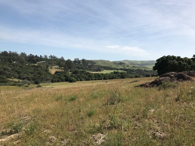 2191 Tularosa Road Lompoc, CA 93436 - Photo 26 of 29 a view of an outdoor space and a yard