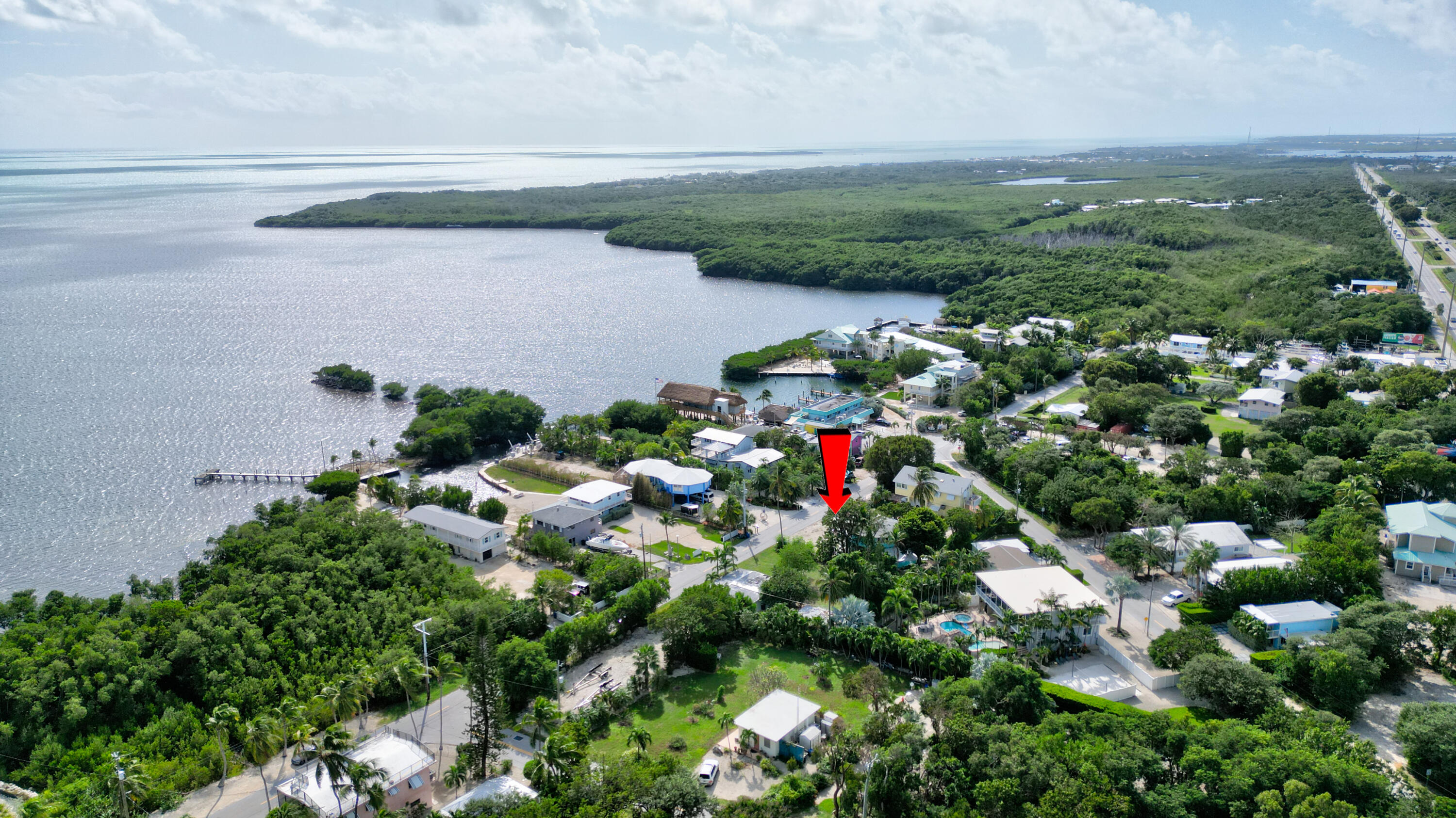 15 Seaside Avenue Key Largo, FL 33037 - Photo 2 of 55 a picture of flowers